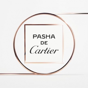 Բ޽д濨Pasha de Cartier